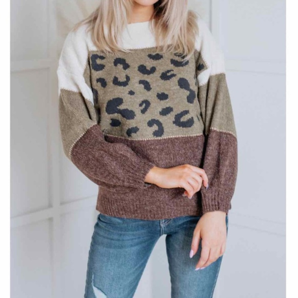 🆕 Into the Wild Leopard Colorblock Sweater